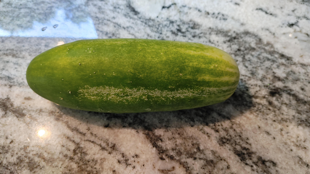 I pulled the first cucumber of the season from the garden and brought it to my wife Oh my god She exclaimed That thing is huge I wish it were smaller I laughed and laughed and laughed