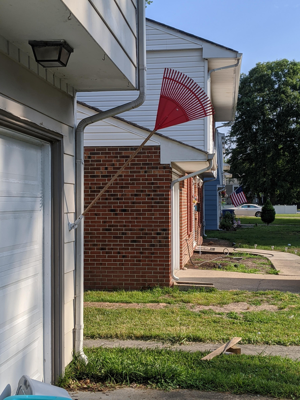 I put a rake in our flag holder to see how long it would take my wife to say something Its been three days