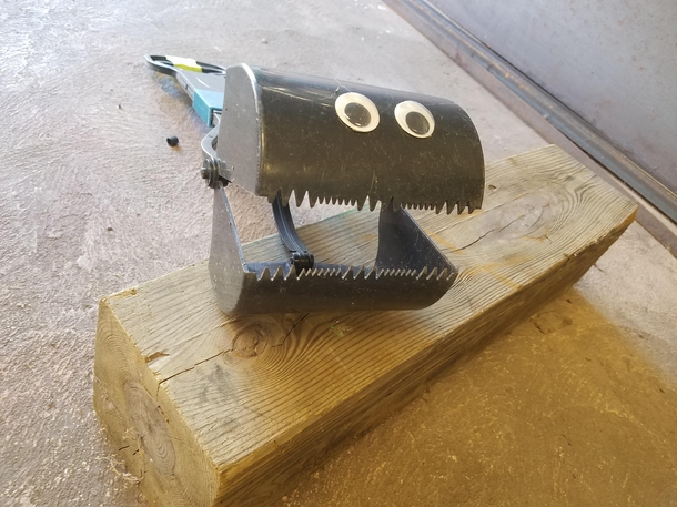 I put googly eyes on my pooper scooper so I can chase the dogs around the yard with it saying give me your poopy
