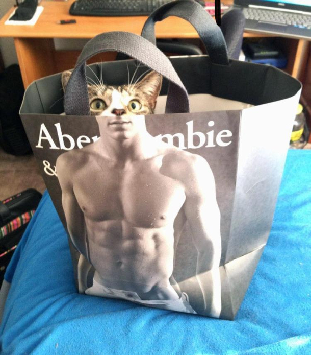 I put my cat in a bag