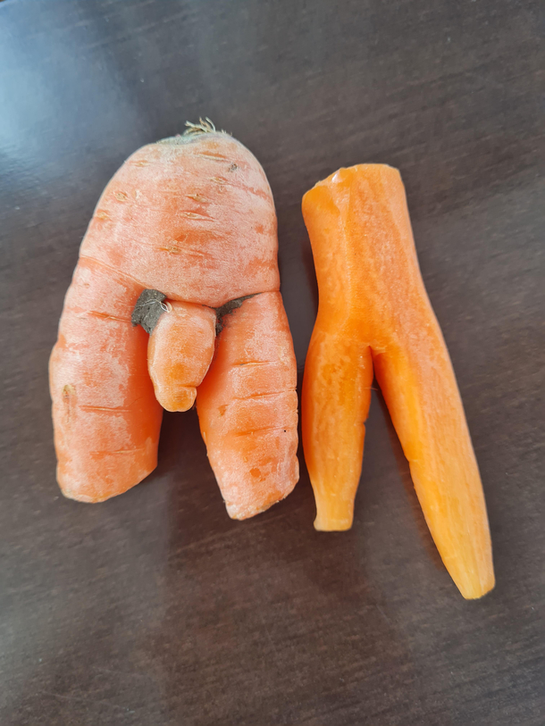 I raise a carrot from one of the previous posts for two of mine