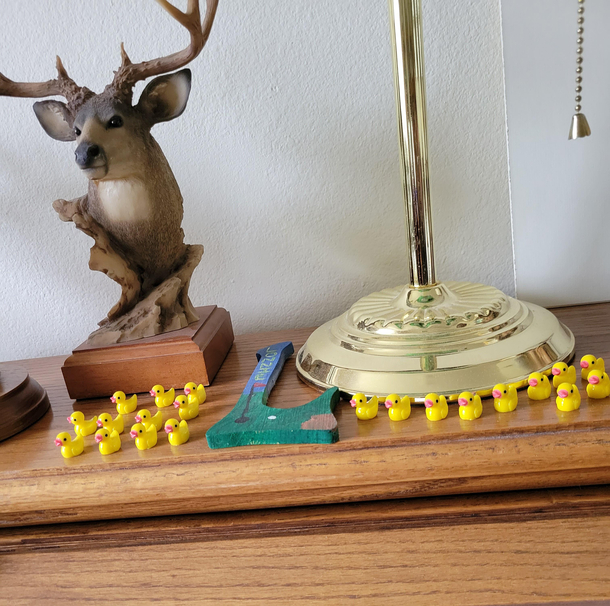 I randomly hide tiny ducks around my parents house My dad has found them and started an army
