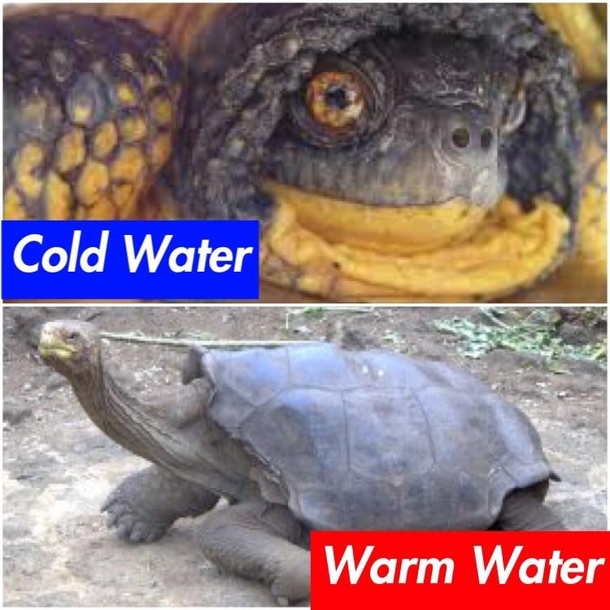 I react to my environment