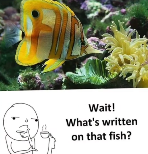 I really dont see anything