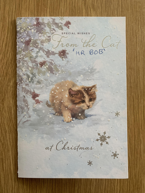 I received a Christmas Card from my neighbours cat Mr Bob BritishHumour MadeMeSmile