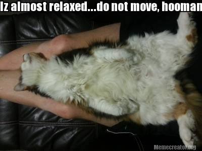 I reluctantly accept your lap