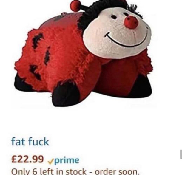 I remember having one of these 