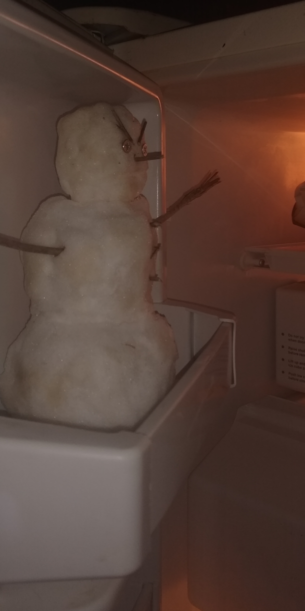 I remember when I was younger my parents would say DONT PUT THAT NASTY SNOWBALL IN MY FREEZER YOU CAN DO THAT WHEN YOU GET YOUR OWN Guess who has a nasty snowman in their freezer