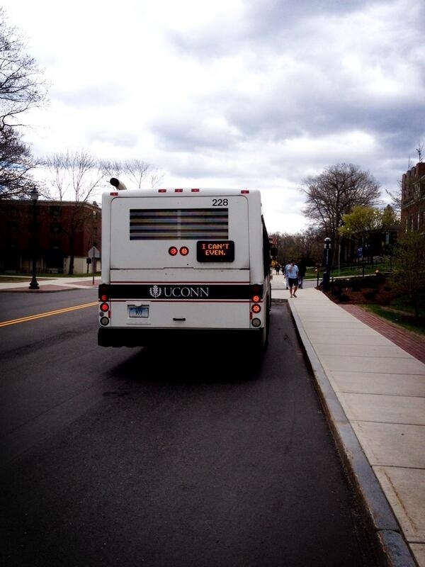 I rode the struggle bus to the library this morning