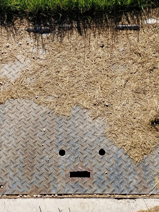 I saw a grass-covered grate at the park that reminded me of Conan OBrien