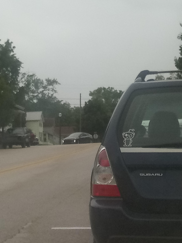 I saw a Snuburu today