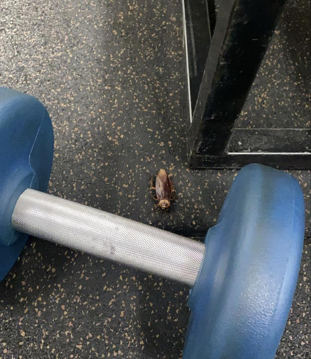 I saw this dude at the gym hitting  times his body weight in curls insane bro
