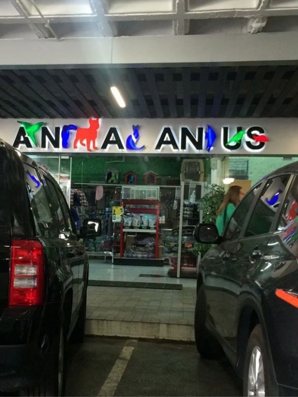 I see Animal Anus anyone else