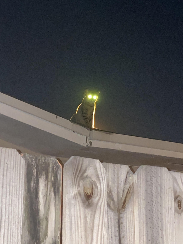 I see no god up here Other than me