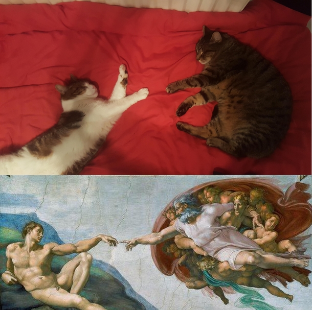 I see some similarities