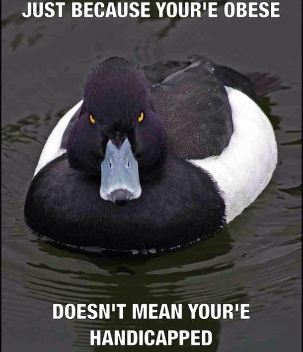 I see this more and more everyday and its getting on my nerves