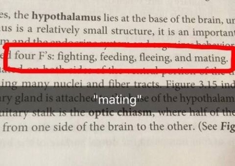 I see what you did there neuroscience book
