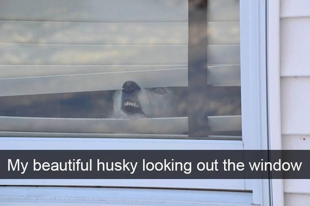 I see you mailman