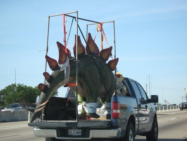 I see your T-Rex on a flatbed and raise you a Stegosaurus in a pickup