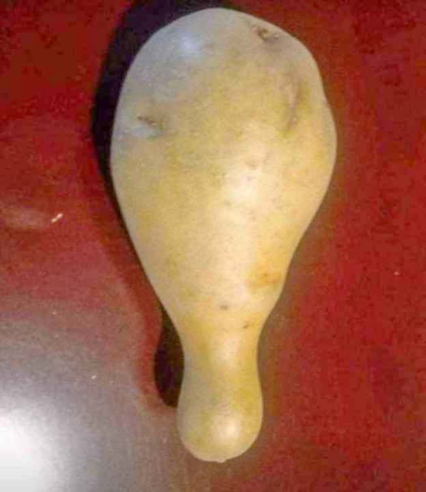 I sell vegan chicken leg
