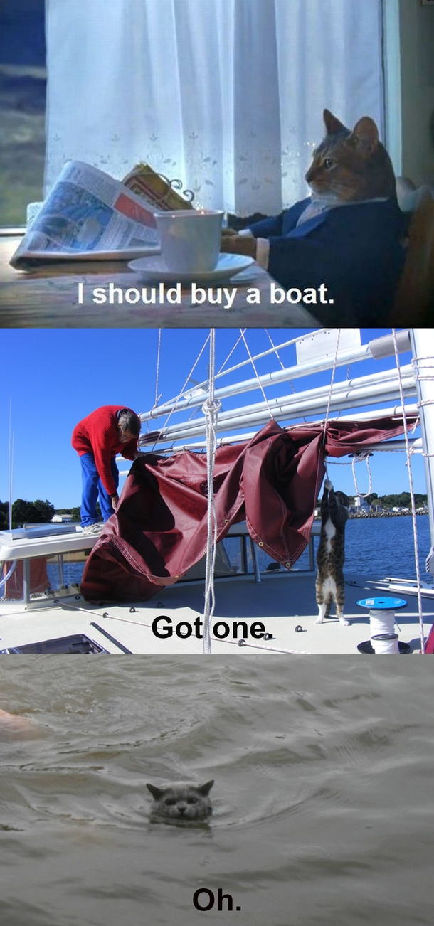 I should buy a boat the trilogy