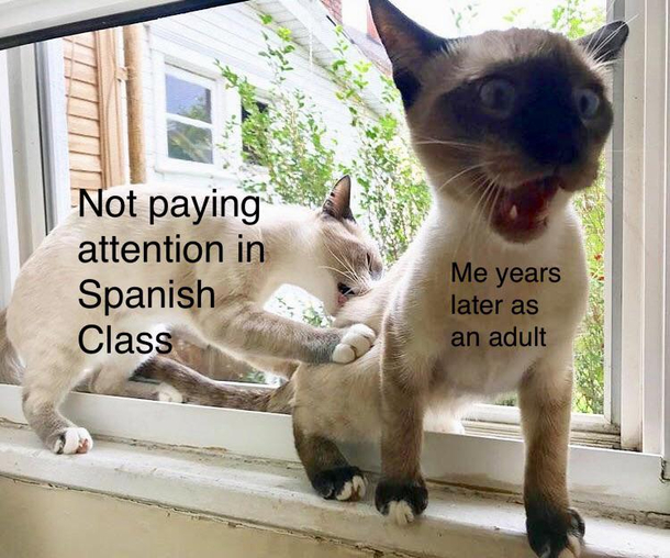 I should have paid attention