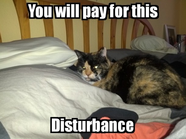 I shouldnt interrupt her nap time again
