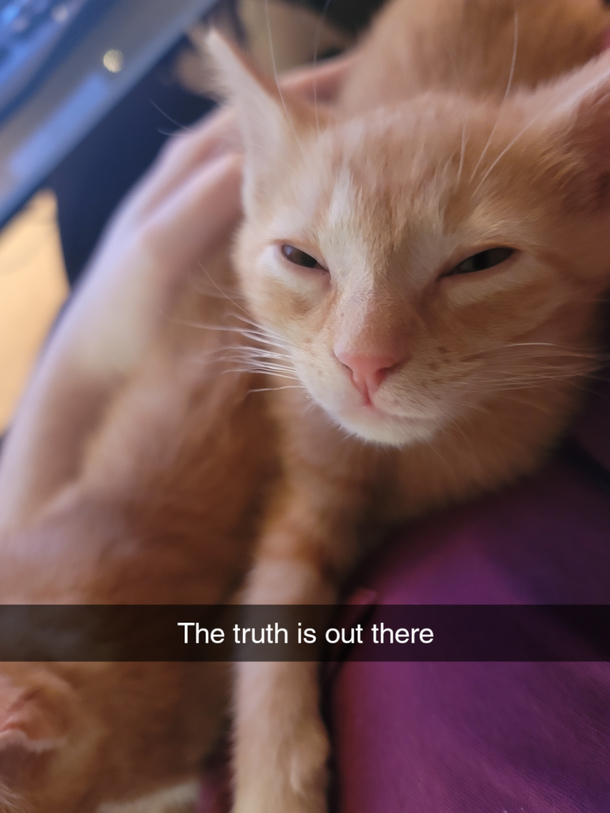 I shouldve named him Mulder