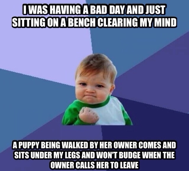 I swear dogs just know