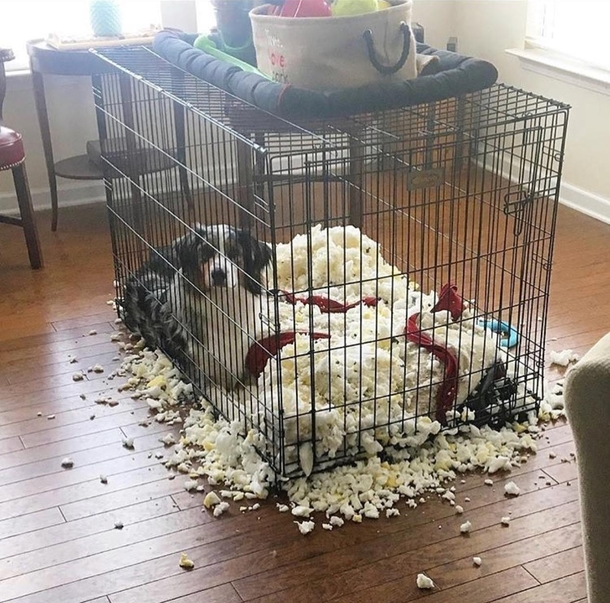 I swear one minute it was fine and then the next was like this