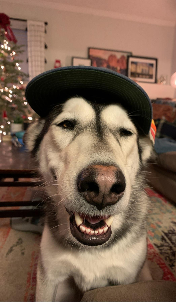 I swear she only looks like she got into some gummies