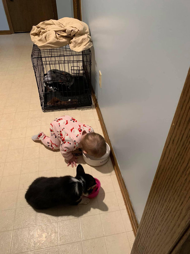I take it they get along