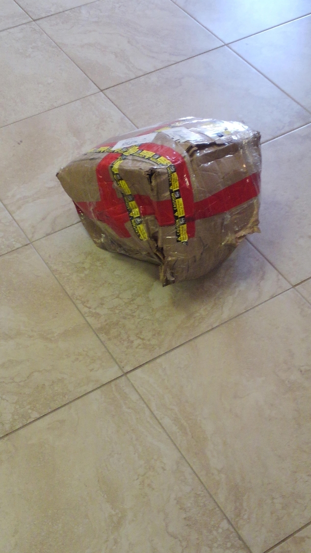 I think ace ventura delivered my package