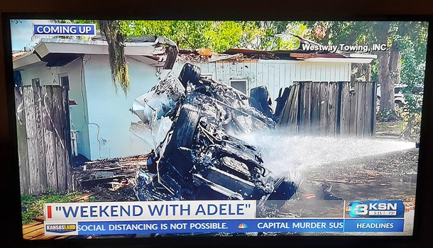 I think Adele has been drinking