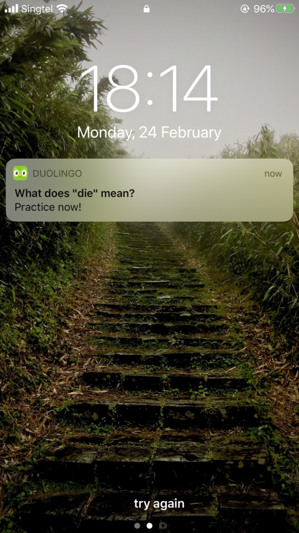 I think Duolingo is trying to tell me something