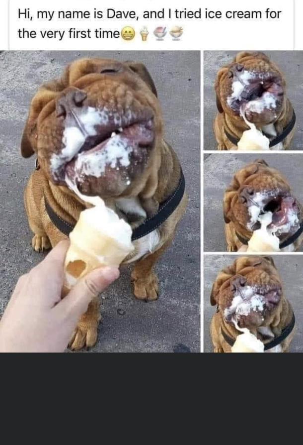I think he likes it