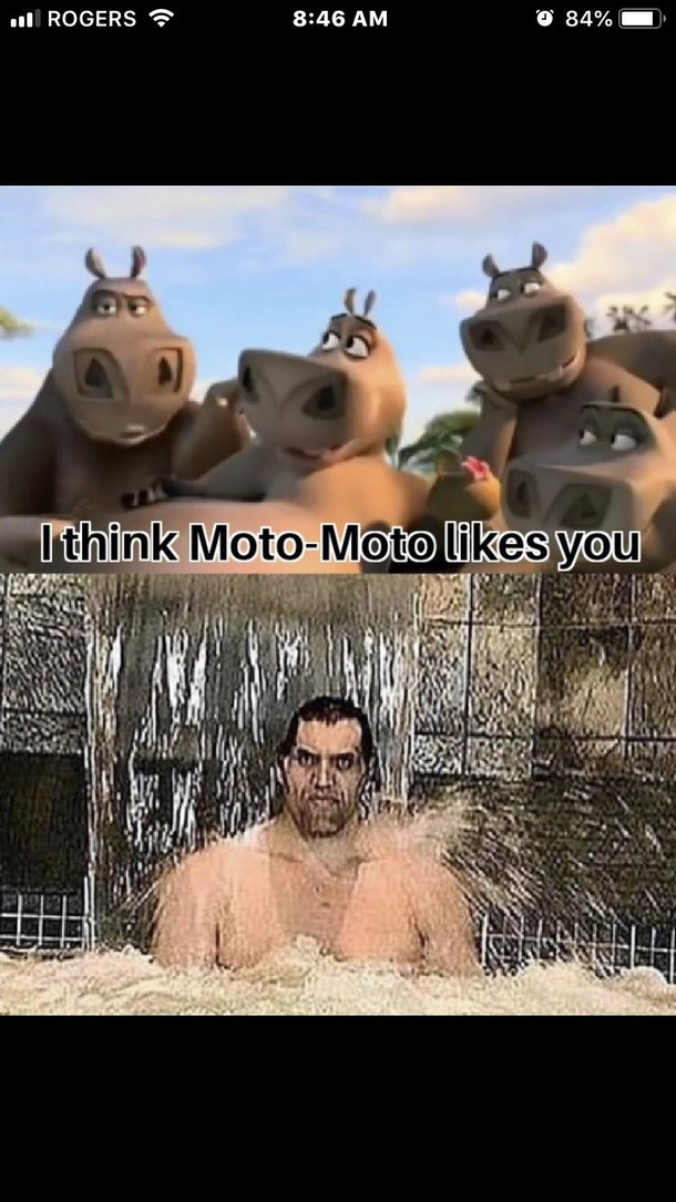 I think he likes you