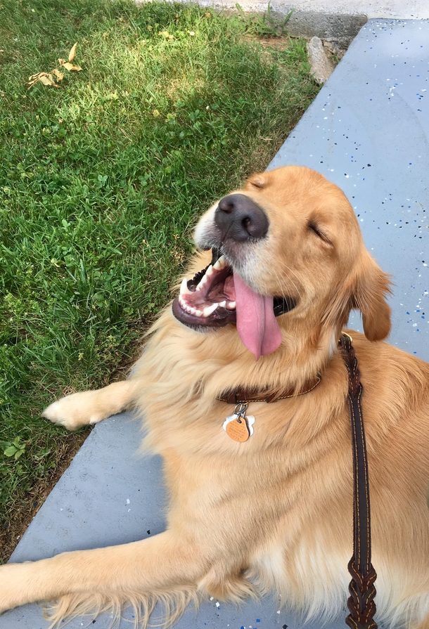 I think I caught him mid-laugh