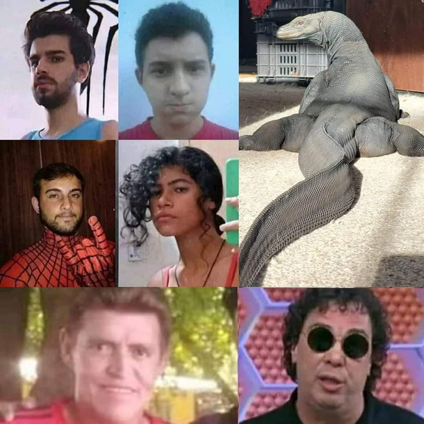 I think I downloaded the wrong No way home movie