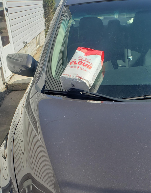 I think I have a secret admirer They left a flour on my car this morning