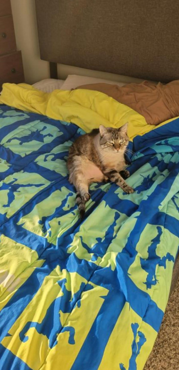 I think I interrupted something