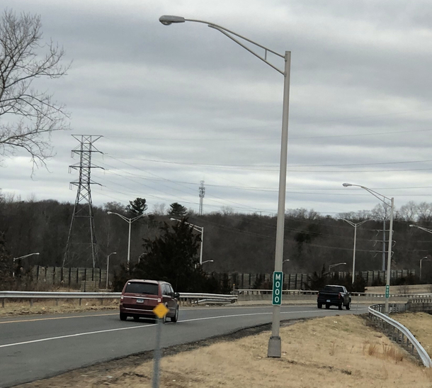 I think I know this light poles spirit animal