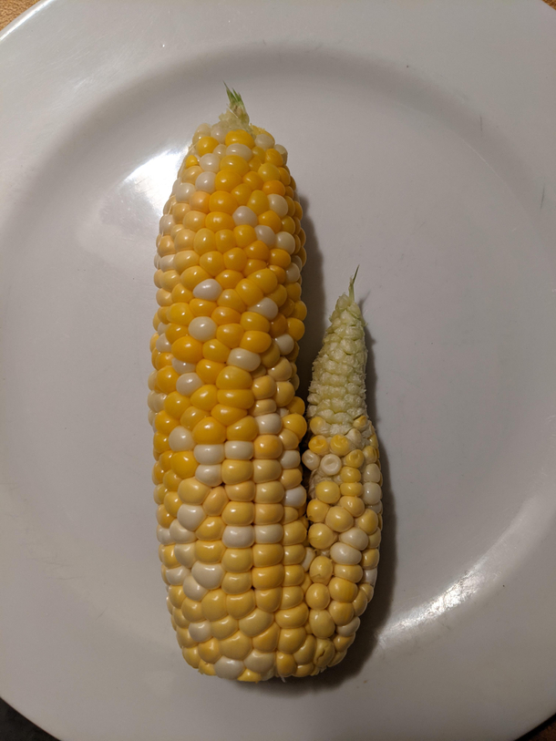 I think I know why the wife loves being vegetarian so much now