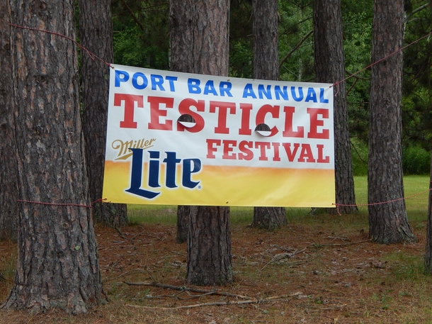 I think Ill skip this festival