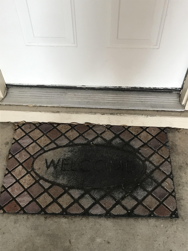 I think Ive worn out my welcome