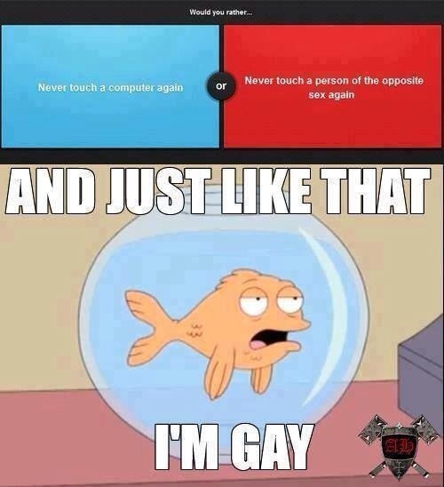 I think most of us on here would become gay