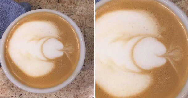 I think my Barista is gay