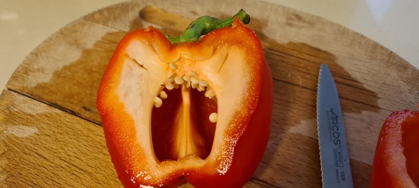 I think my bell pepper is raging
