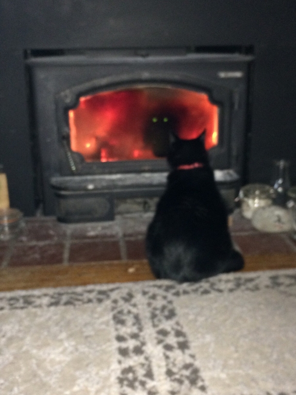 I think my cat is trying to summon a demon