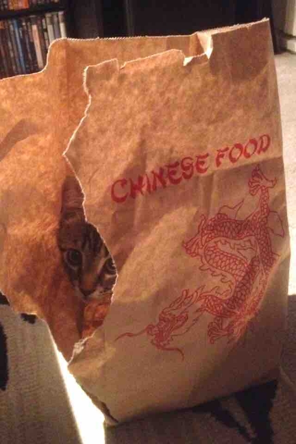 I think my Chinese food is undercooked